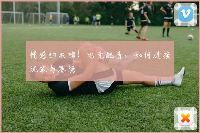情感的共鸣!电竞配音,如何连接玩家与赛场