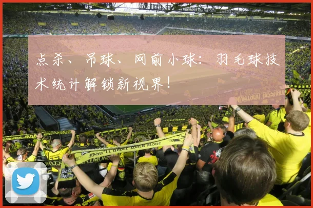 点杀、吊球、网前小球:羽毛球技术统计解锁新视界!