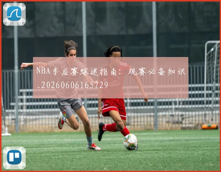 NBA季后赛球迷指南：观赛必备知识_20260606165729
